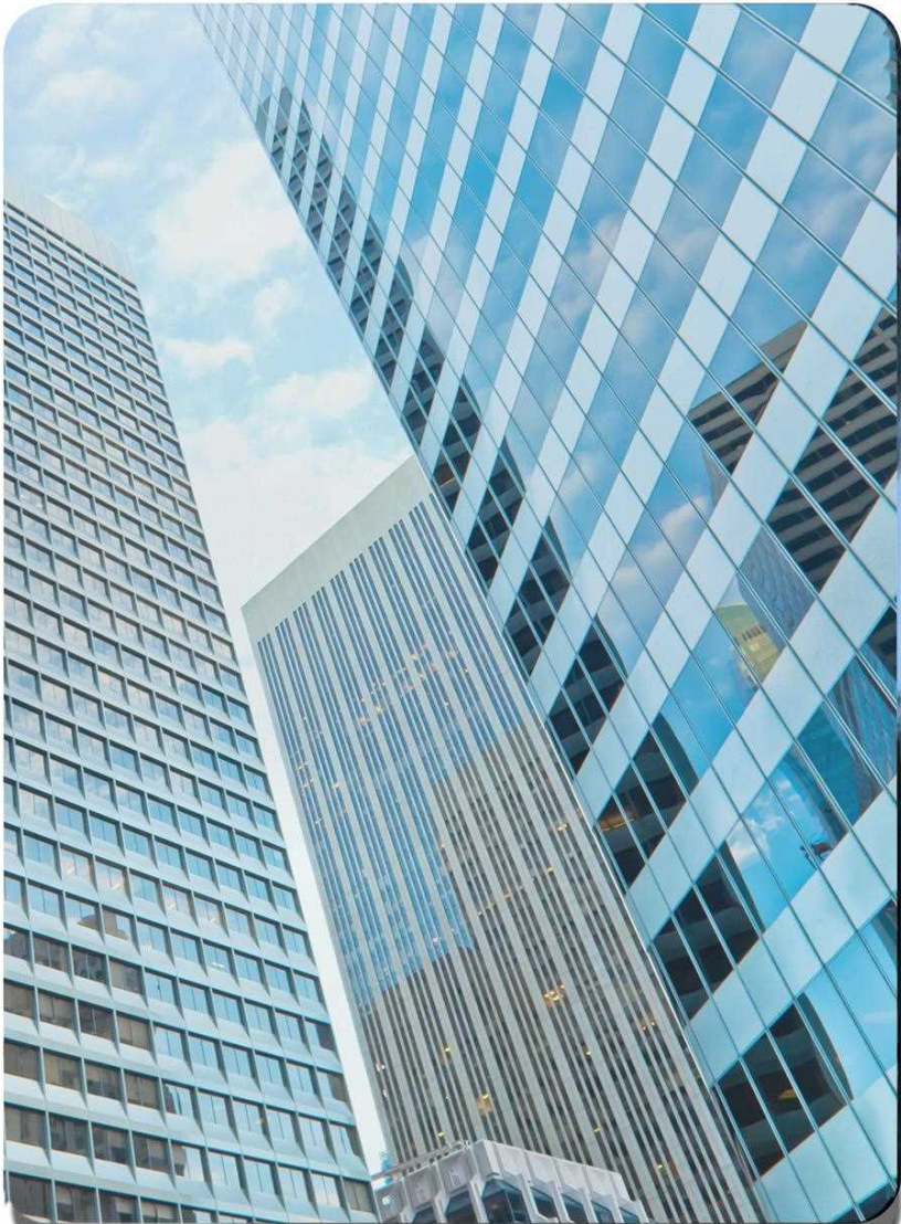 WPC WALL PANELS